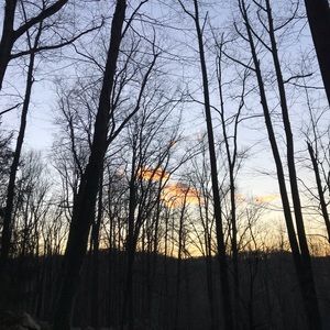 Meet your Posher, Tahra